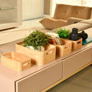 Caixa Domu Ou 4L Linha Keep