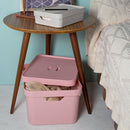 Caixa Organizadora Ou com 32L Tampa Linha Cube