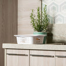 Cesta Organizadora baixa Ou 3,3L