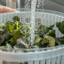 Organizador de Geladeira Ou 5,5L Linha Clear Fresh