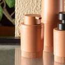 Porta Sabonete Líquido Monocromático Ou Linha Dórica