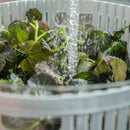 Secador de Saladas Ou 5,5L Linha Clear Fresh